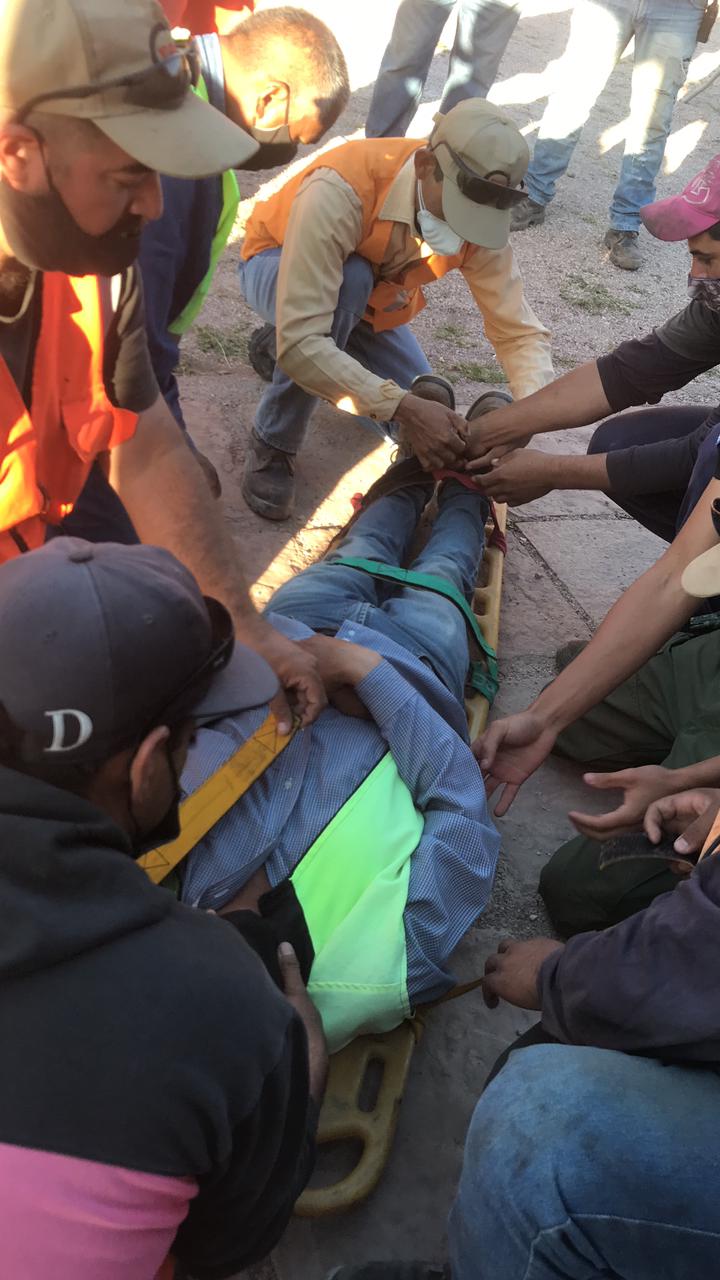 WhatsApp-Image-2021-01-27-at-17.28.16-2