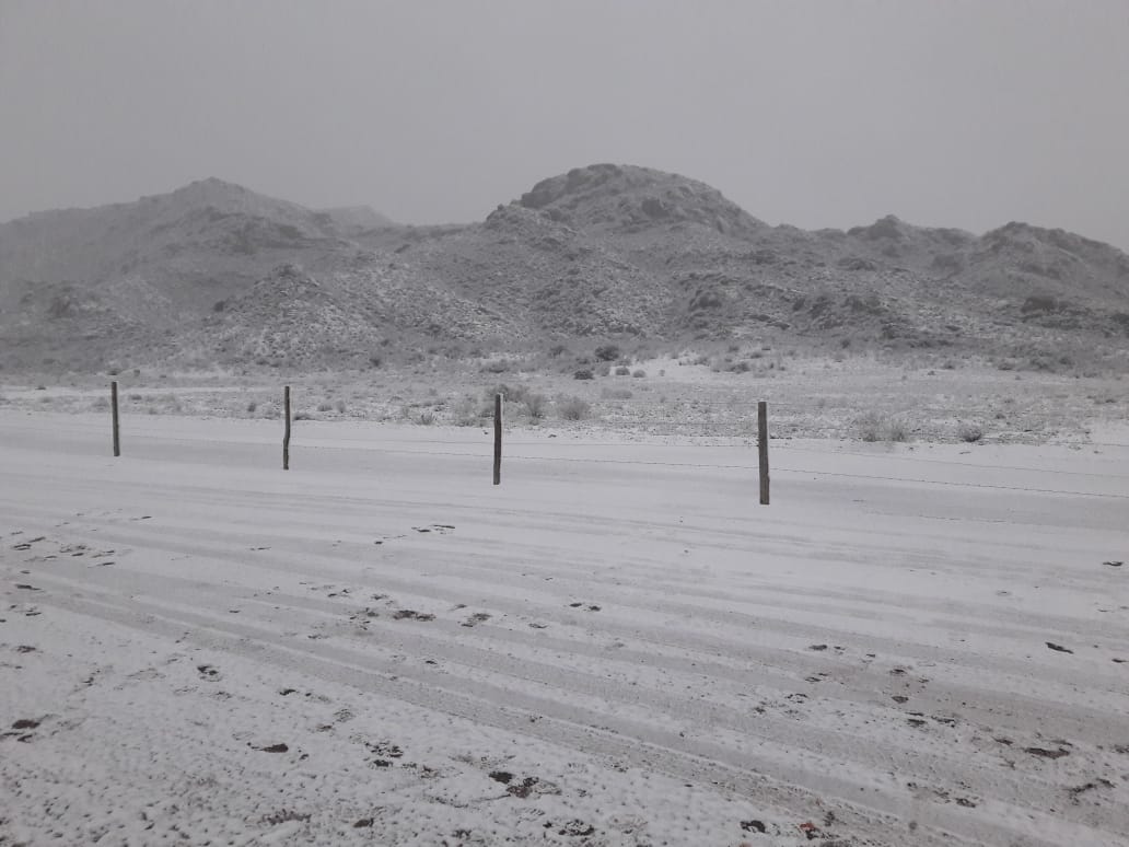 WhatsApp-Image-2020-07-23-at-10.58.37