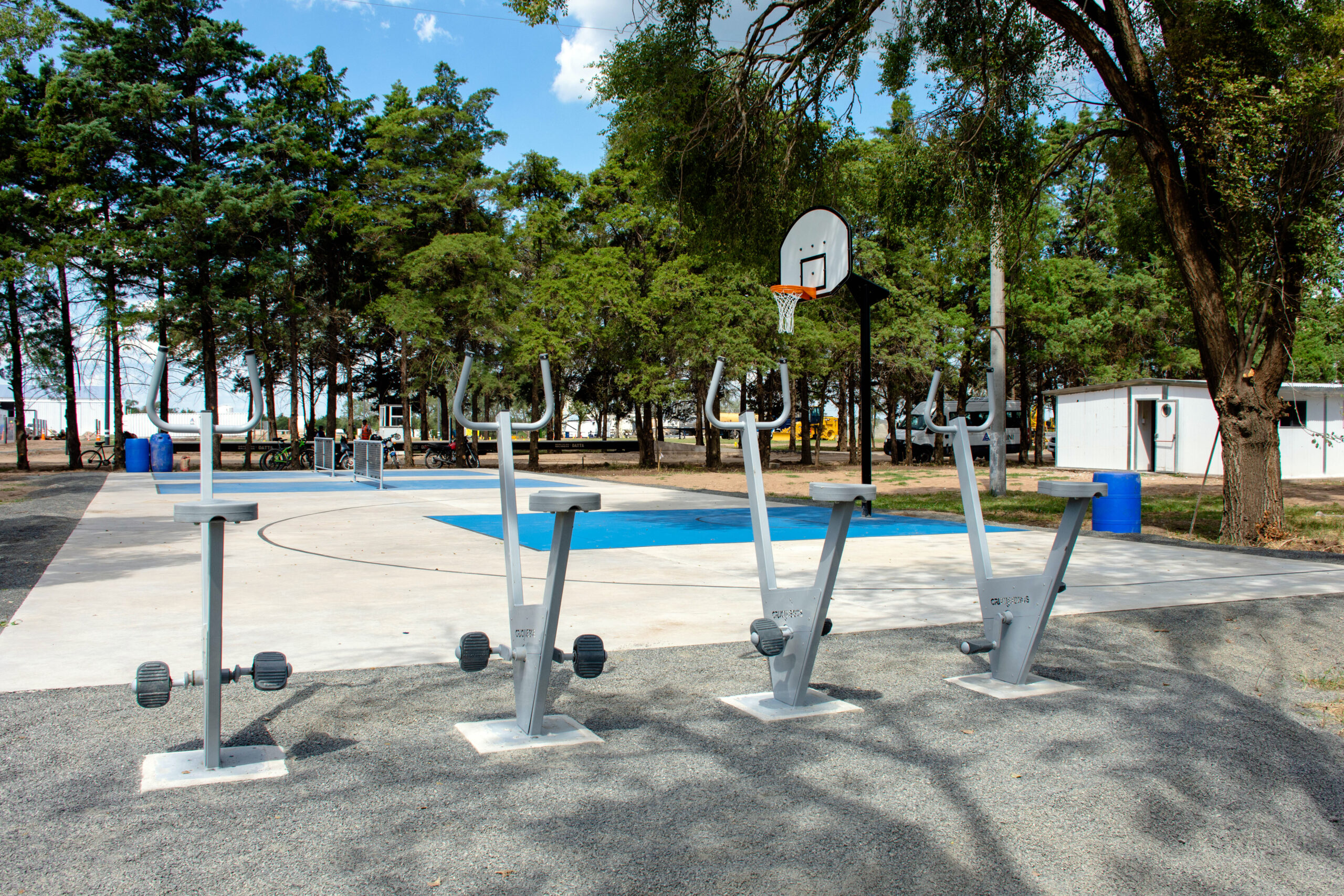 Sector Deportivo